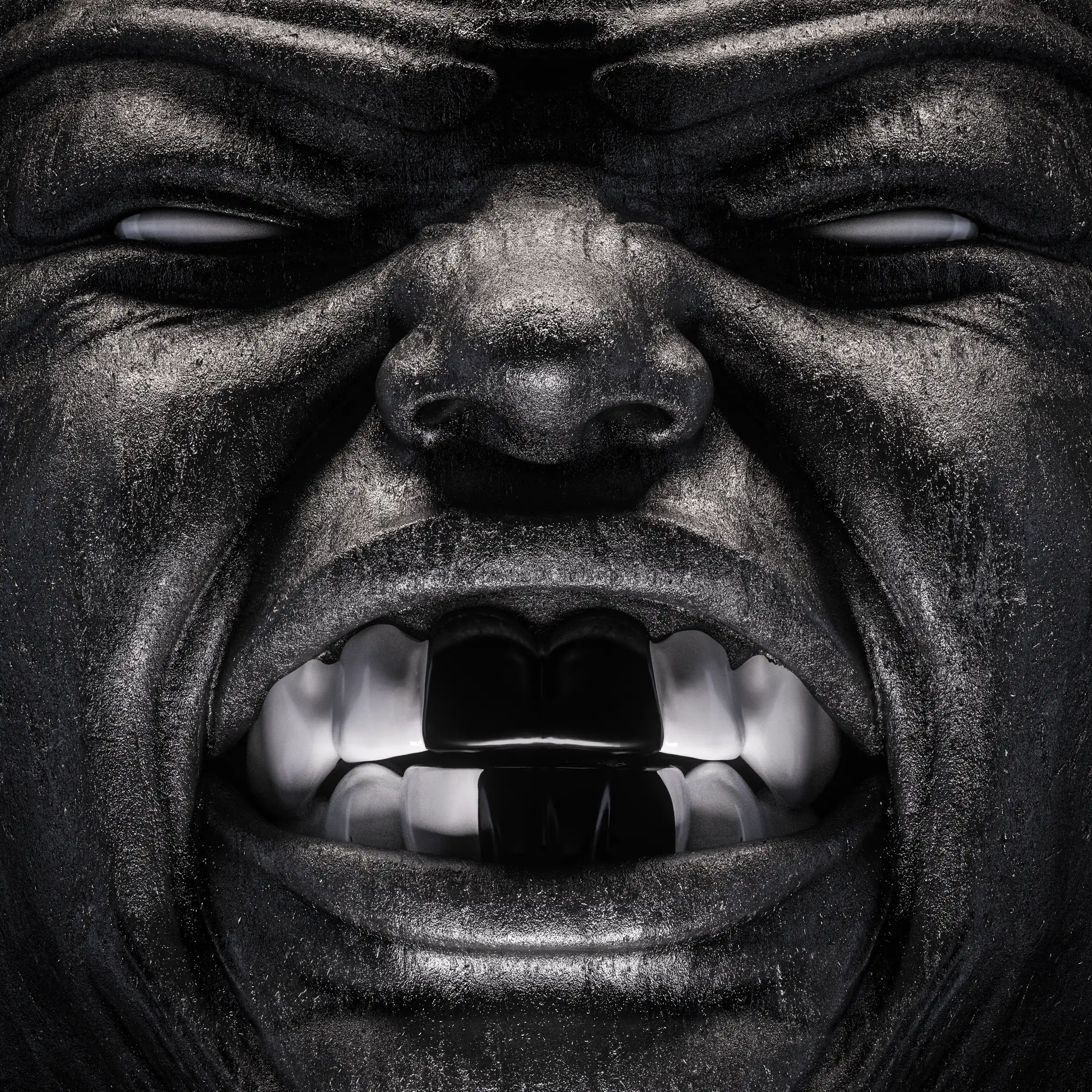 BULLY BLANK 2